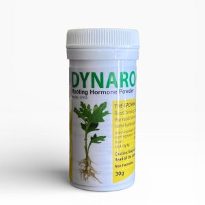 DYNAROOT Rooting Powder 30g