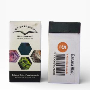 DUTCH PASSION Strain: Banana Blaze (5 Feminized Seeds)