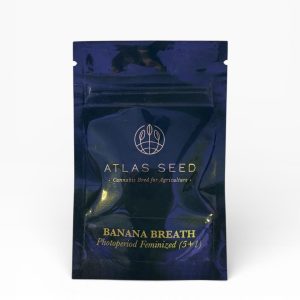 ATLAS SEED Strain: Banana Breath (5+1 Feminized Seeds)