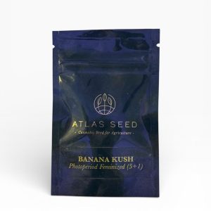 ATLAS SEED Strain: Banana Kush (5+1 Feminized Seeds)